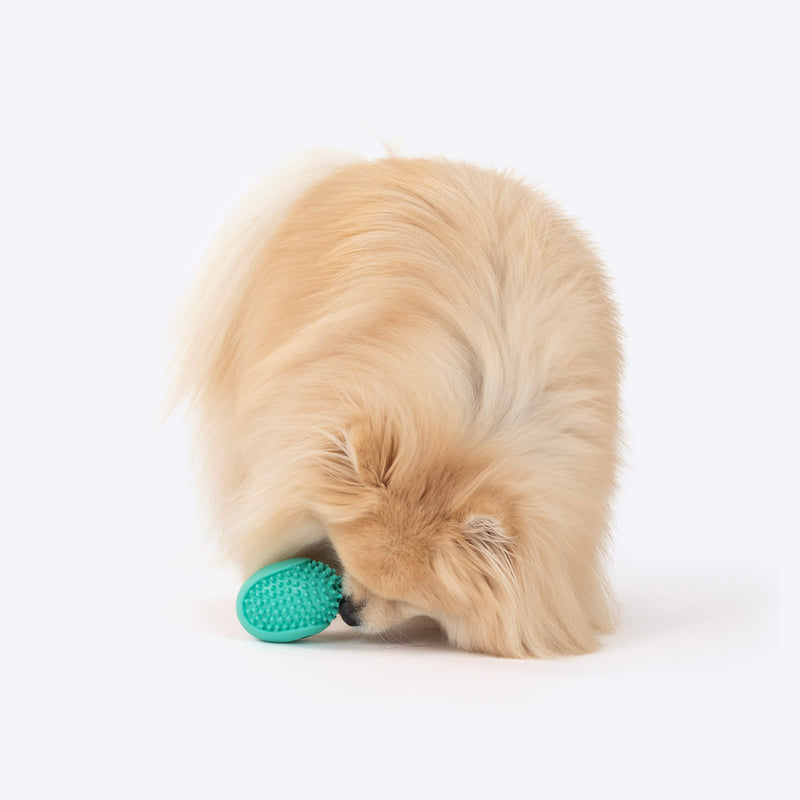 Dash Dog Explorer's Shell Chew Toy For Dog - Teal - Heads Up For Tails