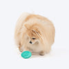 Dash Dog Explorer's Shell Chew Toy For Dog - Teal - Heads Up For Tails