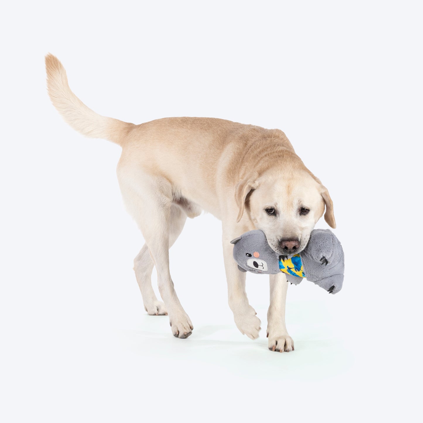 HUFT Sir Hug-A-Lot Plush Toy For Dog - Grey - Heads Up For Tails