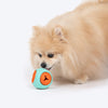 Dash Dog Quadrafun Chew Toy For Dog - Blue & Orange - Heads Up For Tails