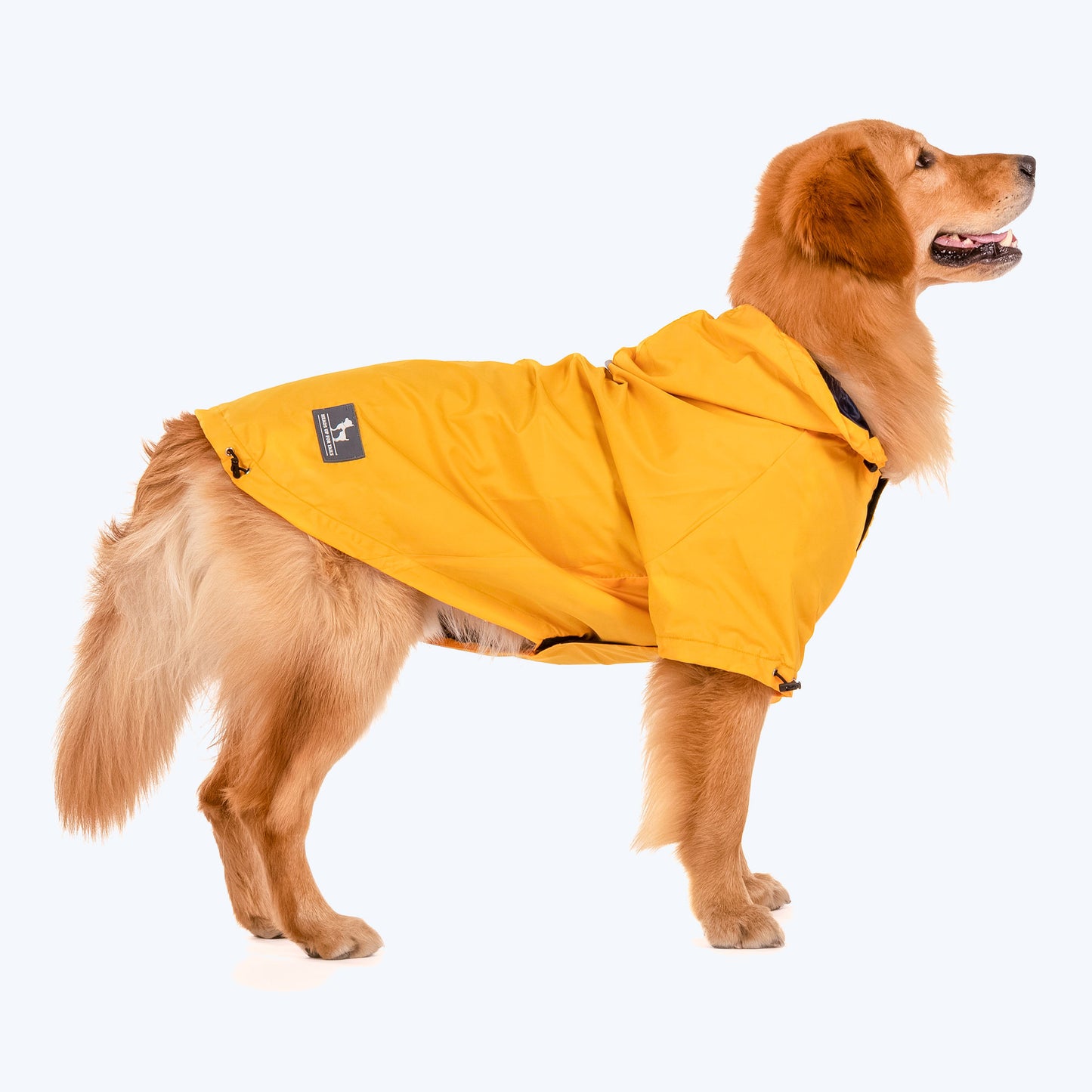 HUFT Magical Mist Dog Raincoat - Yellow - Heads Up For Tails
