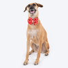 HUFT Festive Desi Glam Dog Bow Tie With Strap - Red - Heads Up For Tails
