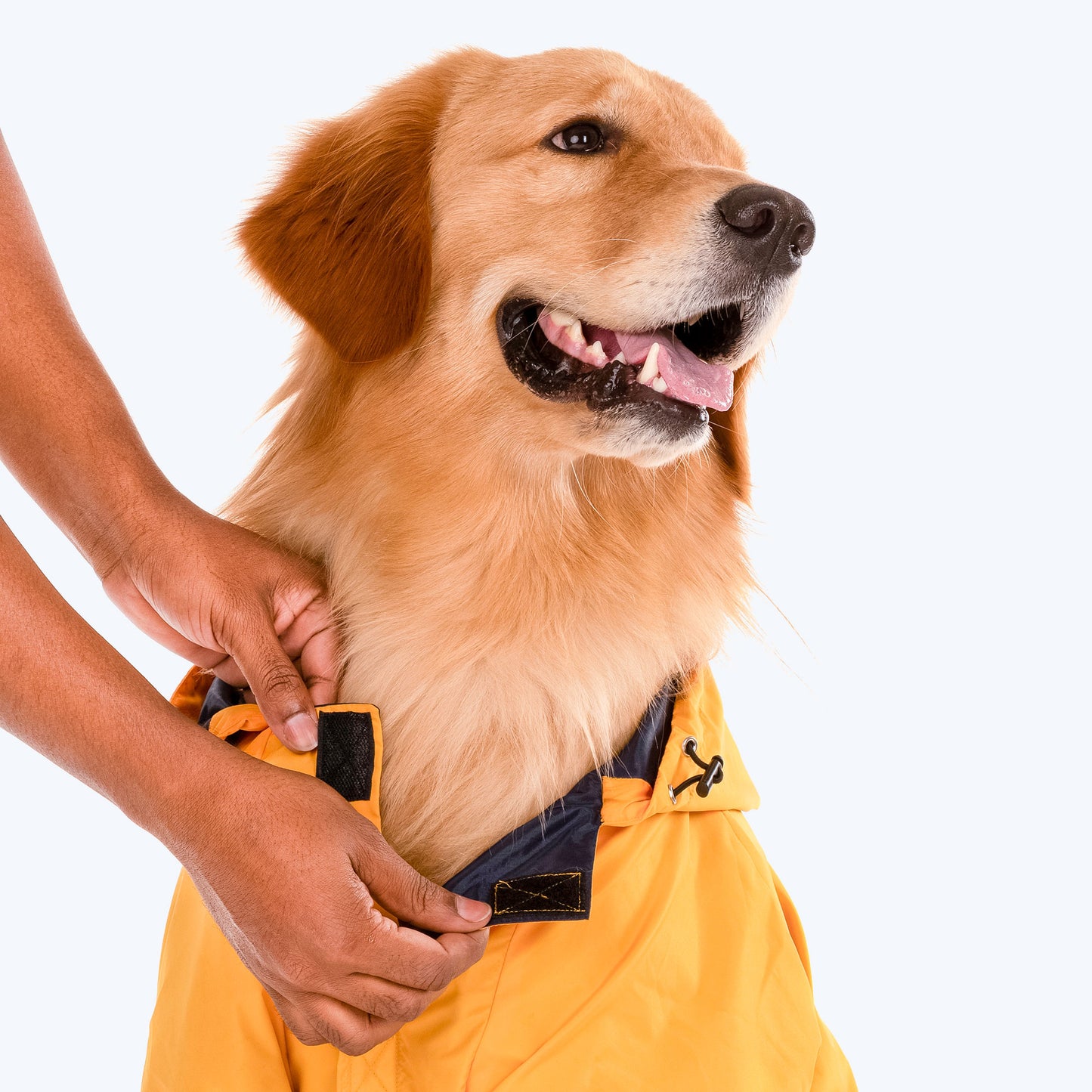 HUFT Magical Mist Dog Raincoat - Yellow - Heads Up For Tails