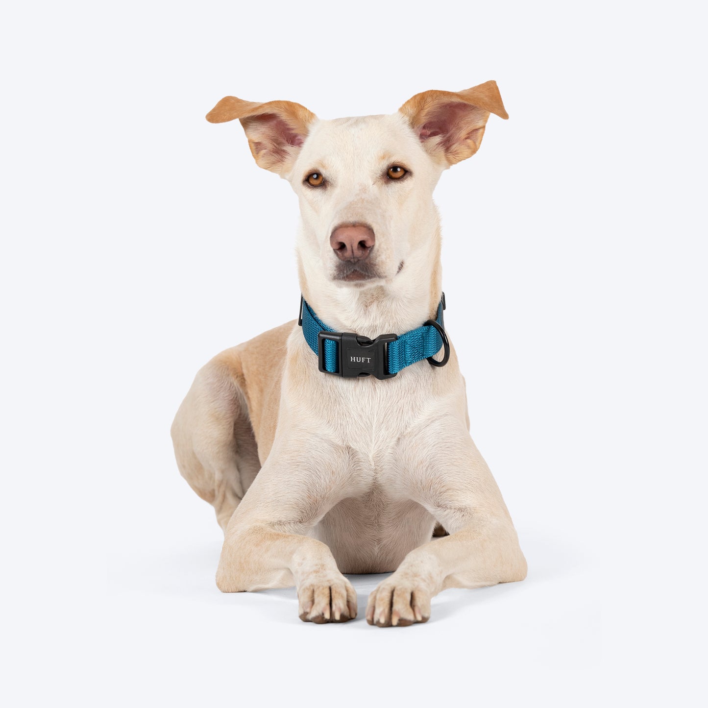 HUFT Basics Dog Collar - Teal Blue - Heads Up For Tails