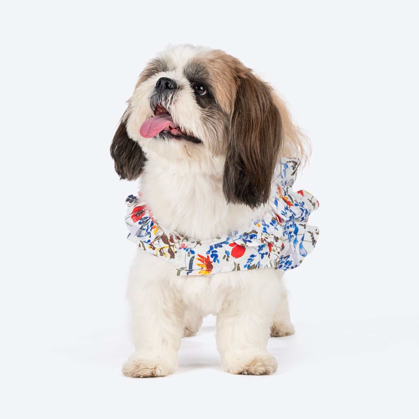 HUFT Printed White Floral Cotton Dress For Dog - White - Heads Up For Tails