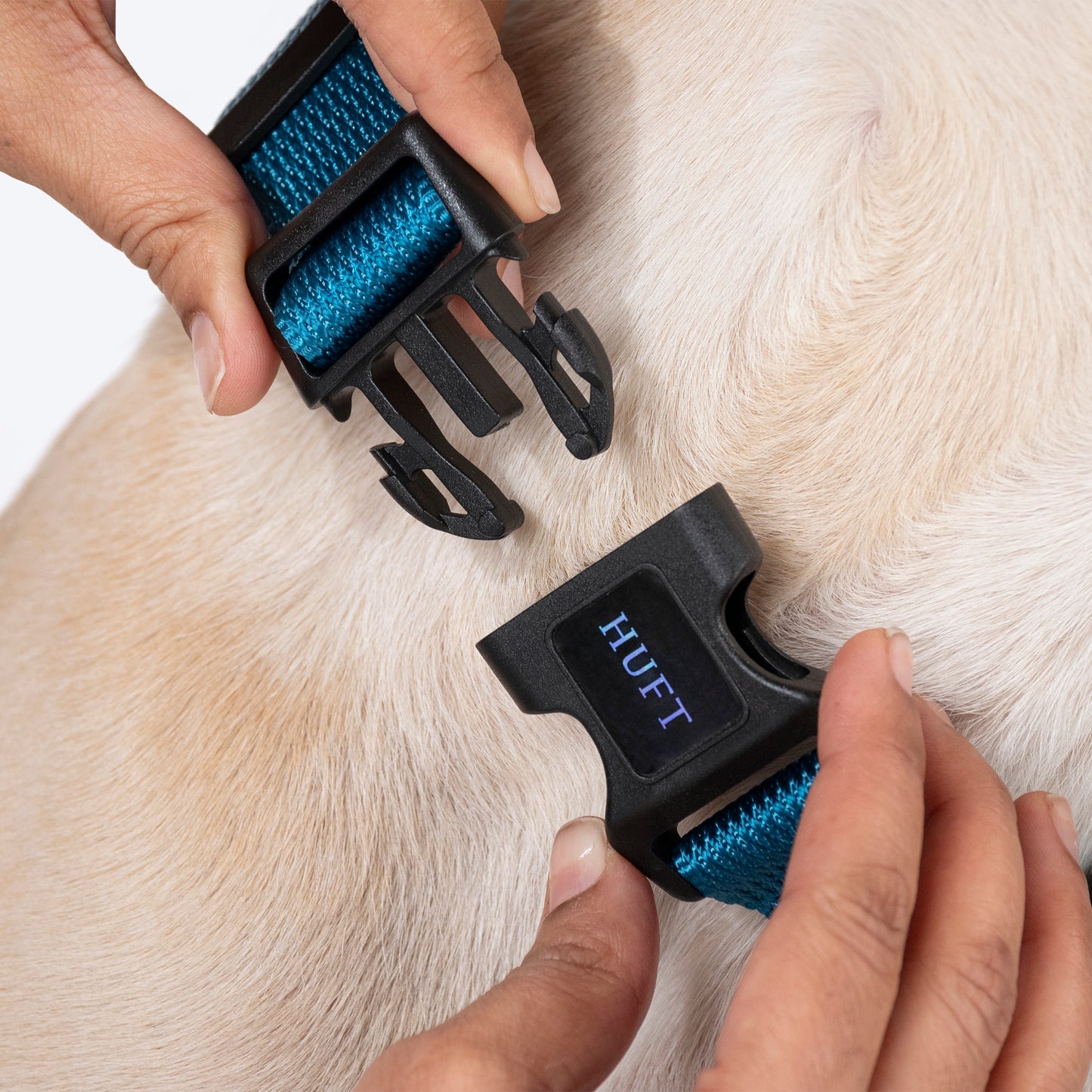 HUFT Basics Dog Collar - Teal Blue - Heads Up For Tails