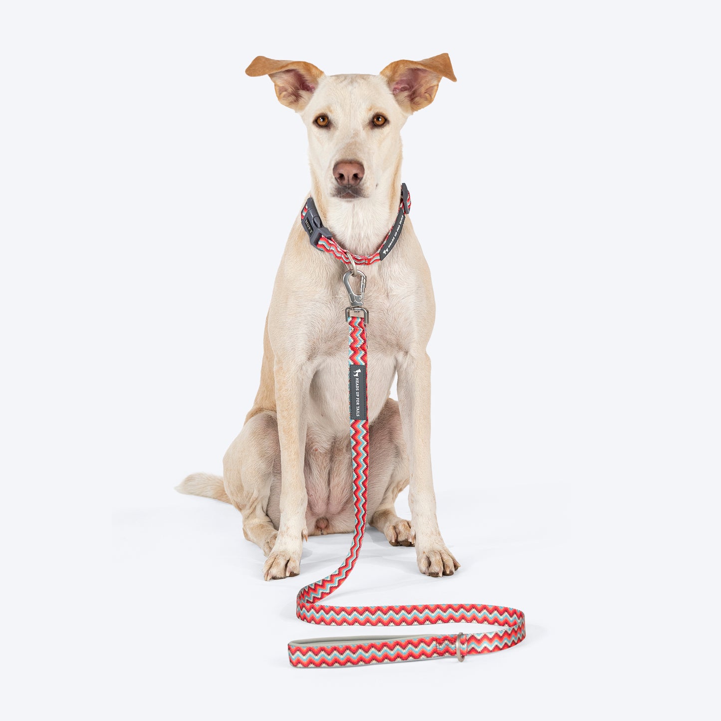 HUFT Zig Zag Galaxy Leash For Dog - Red - Heads Up For Tails