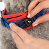 HUFT Slip & Stroll Heart Parade Harness & Leash Set For Dog - Blue
