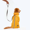 HUFT Magical Mist Dog Raincoat - Yellow - Heads Up For Tails