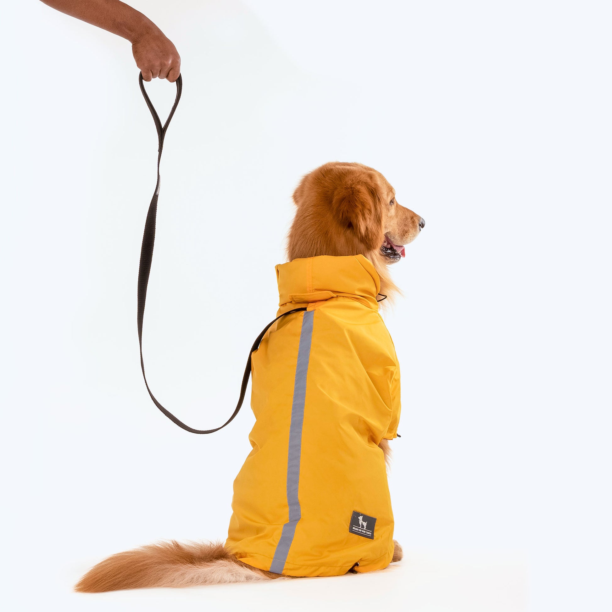 HUFT Magical Mist Dog Raincoat - Yellow - Heads Up For Tails