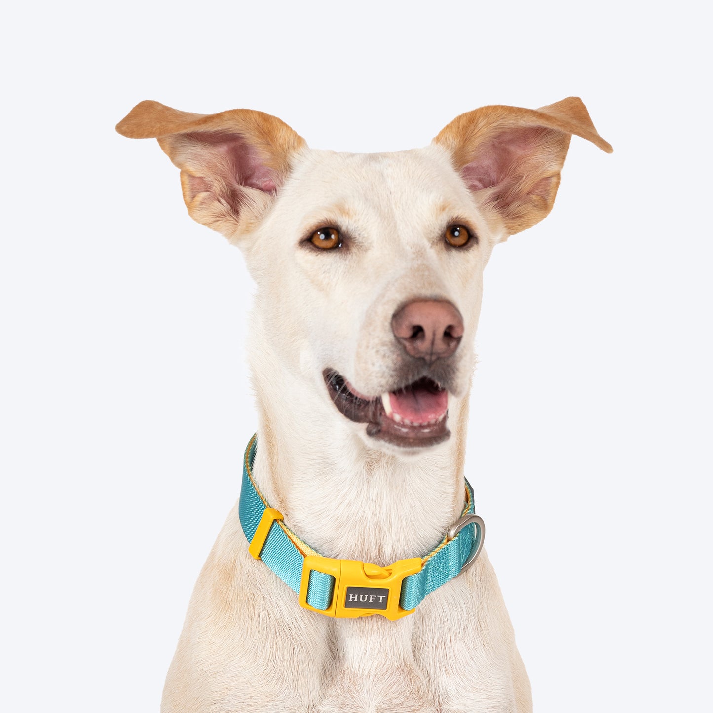 HUFT Dichromatic Collar For Dog - Turquoise & Yellow - Heads Up For Tails