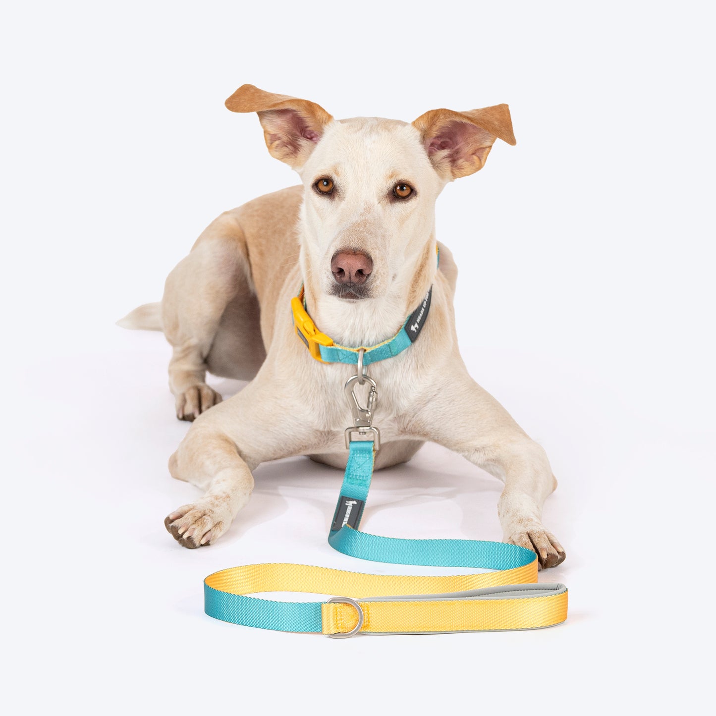 HUFT Dichromatic Leash For Dog - Turquoise & Yellow - Heads Up For Tails