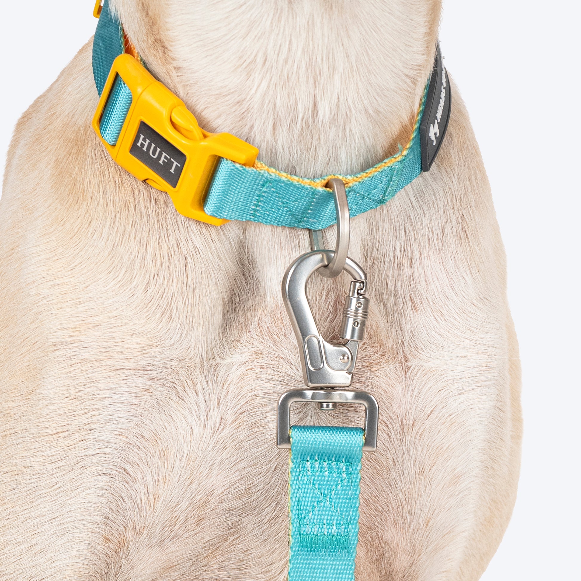 HUFT Dichromatic Collar For Dog - Turquoise & Yellow - Heads Up For Tails