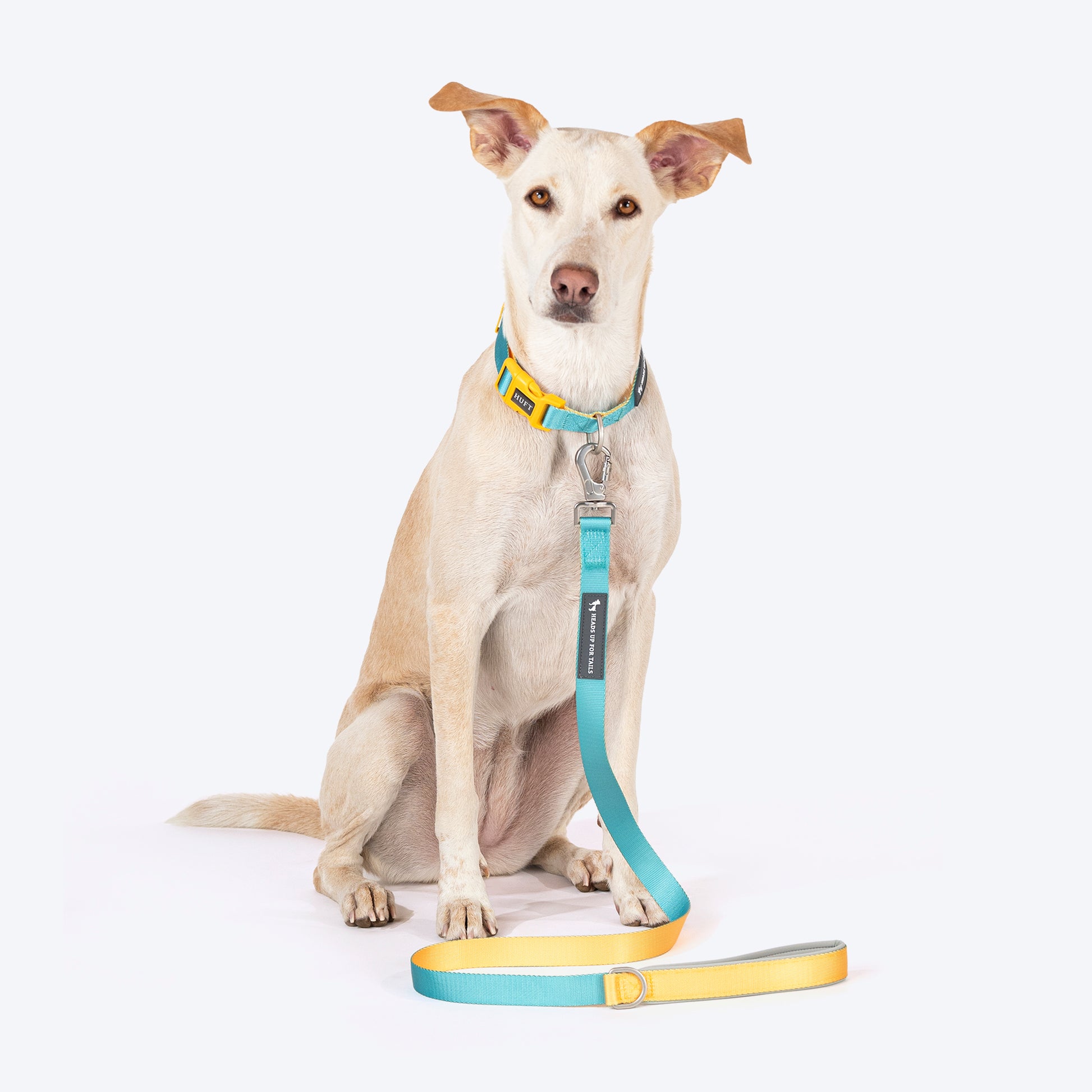HUFT Dichromatic Leash For Dog - Turquoise & Yellow - Heads Up For Tails