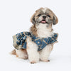 HUFT Customised Regal Raat Rani Brocade Lehenga Choli Set For Dog & Cat - Slate Blue - Heads Up For Tails