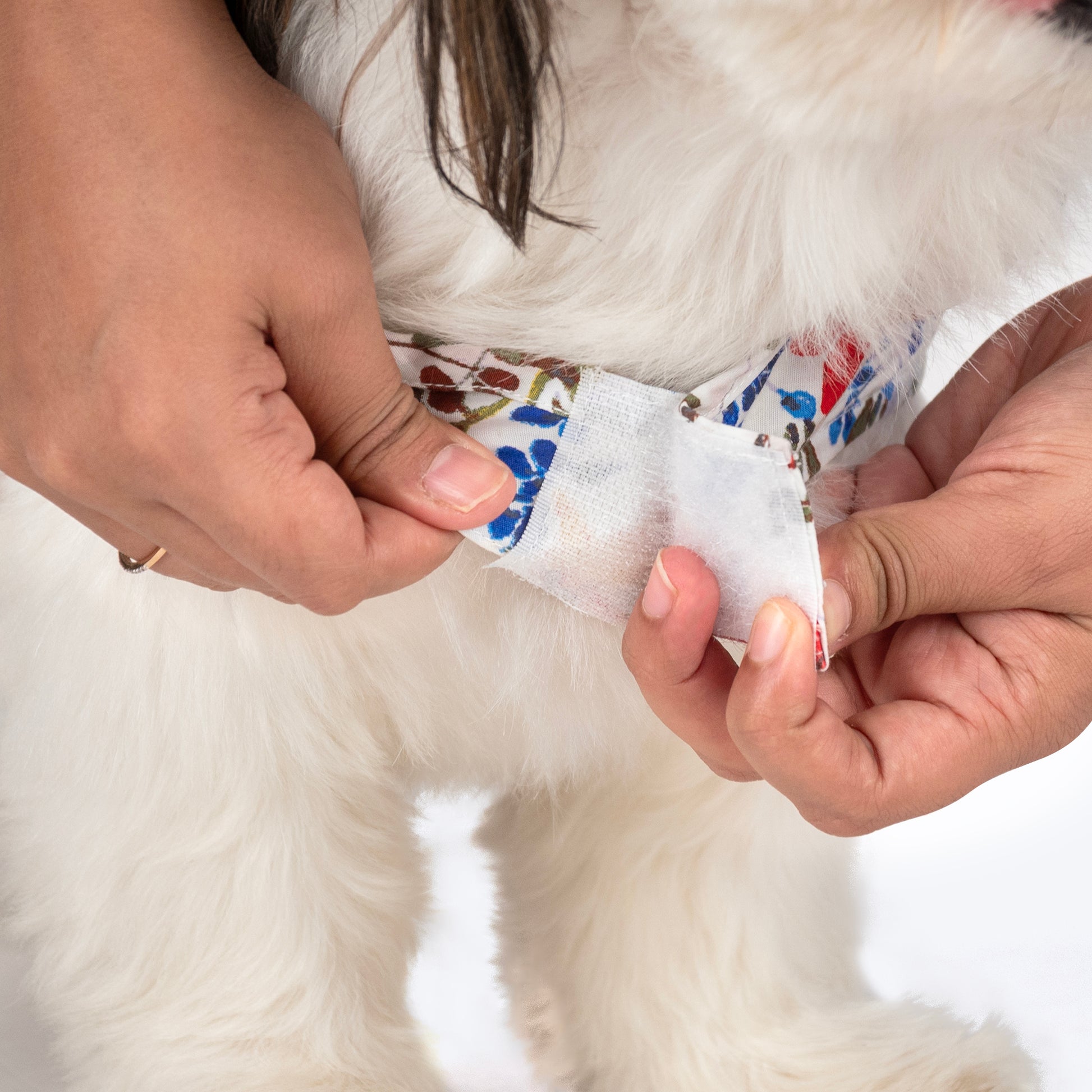 HUFT Printed White Floral Cotton Dress For Dog - White - Heads Up For Tails