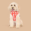 HUFT Berry Love Adjustable Harness For Dog - Red