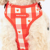 HUFT Berry Love Adjustable Harness For Dog - Red
