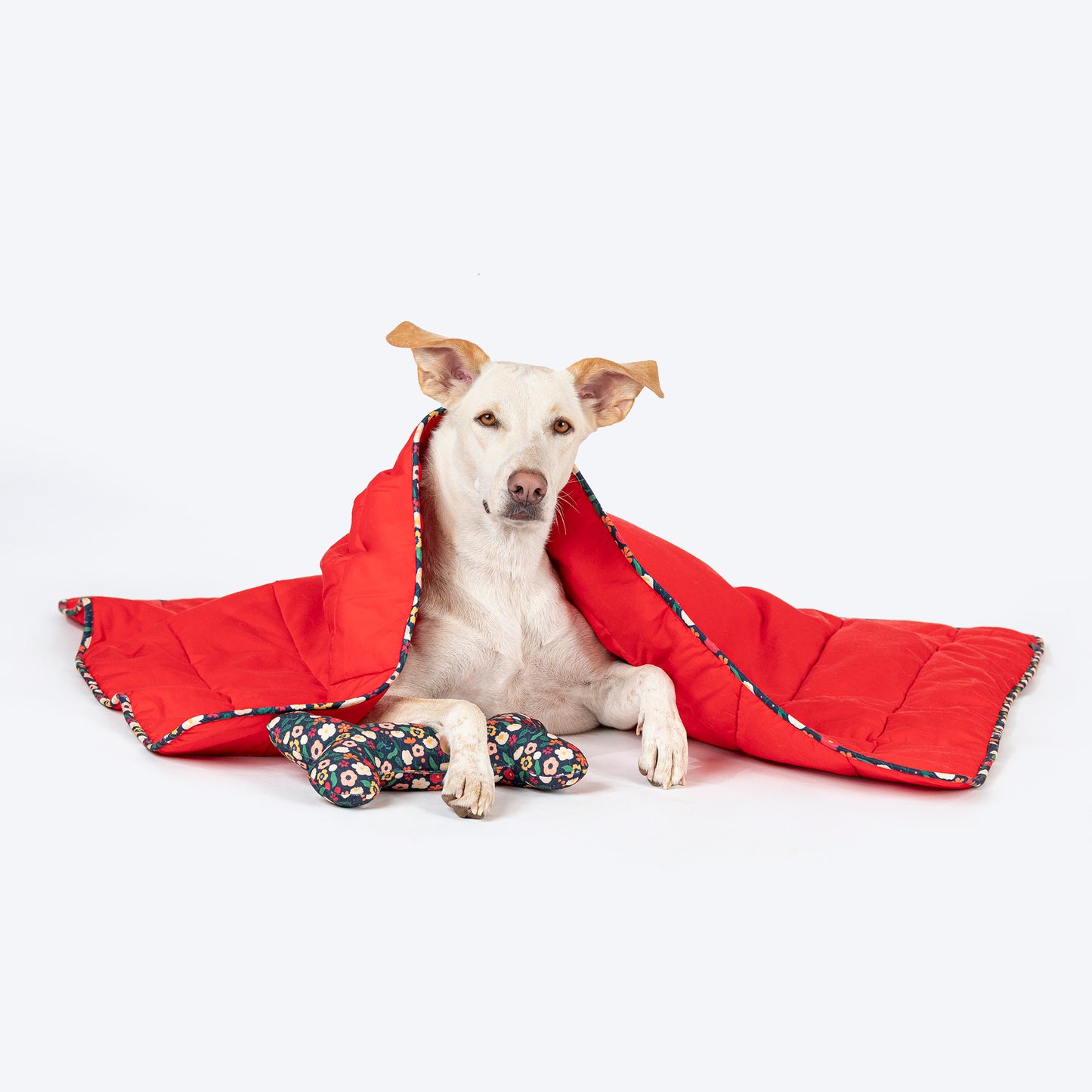 HUFT Personalised Sweet Dreams Blanket For Dog & Cat - Red - Heads Up For Tails