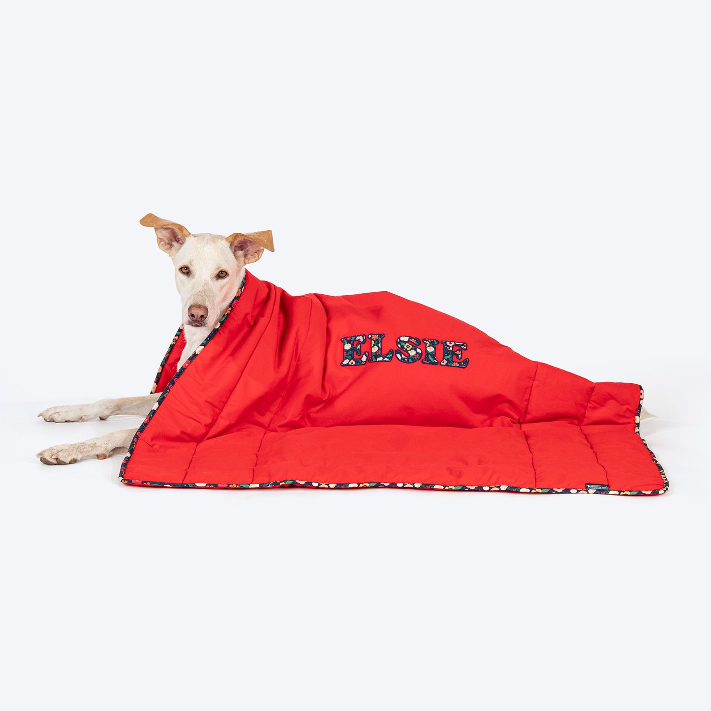 HUFT Personalised Sweet Dreams Blanket For Dog & Cat - Red - Heads Up For Tails