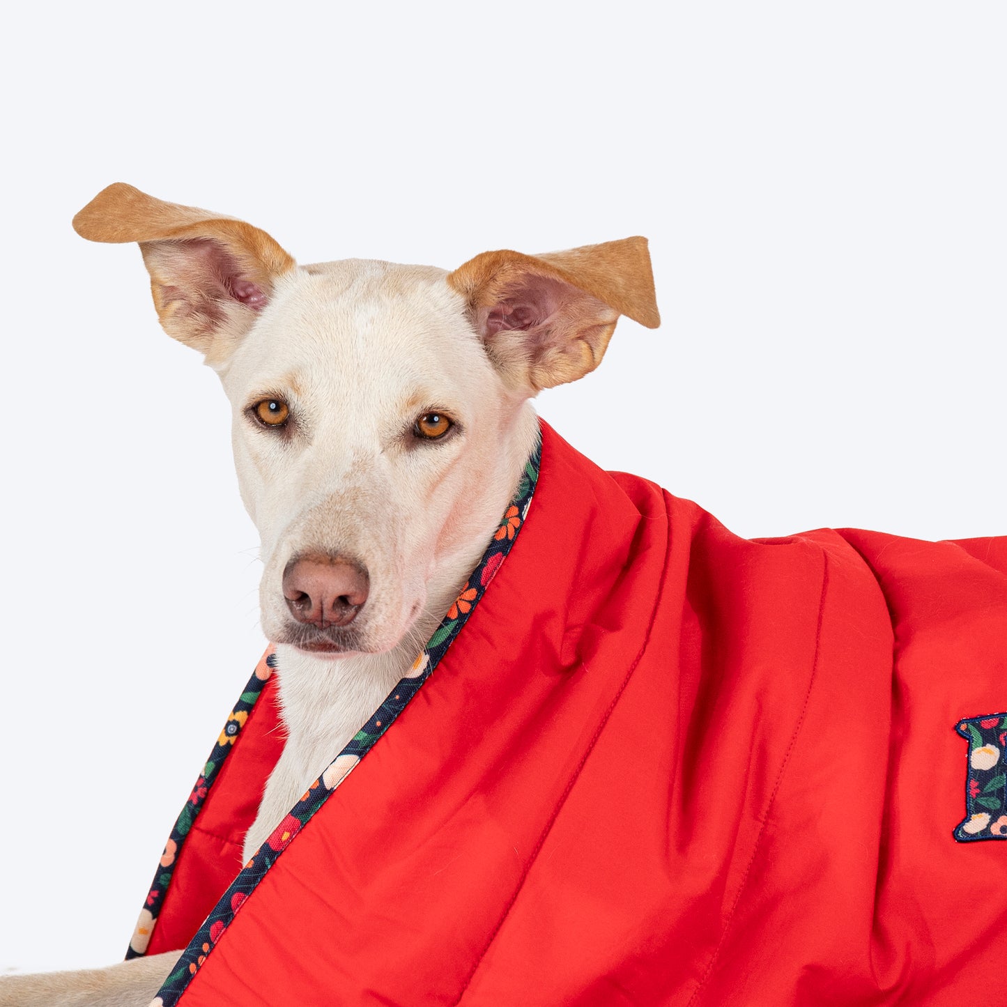 HUFT Personalised Sweet Dreams Blanket For Dog & Cat - Red - Heads Up For Tails