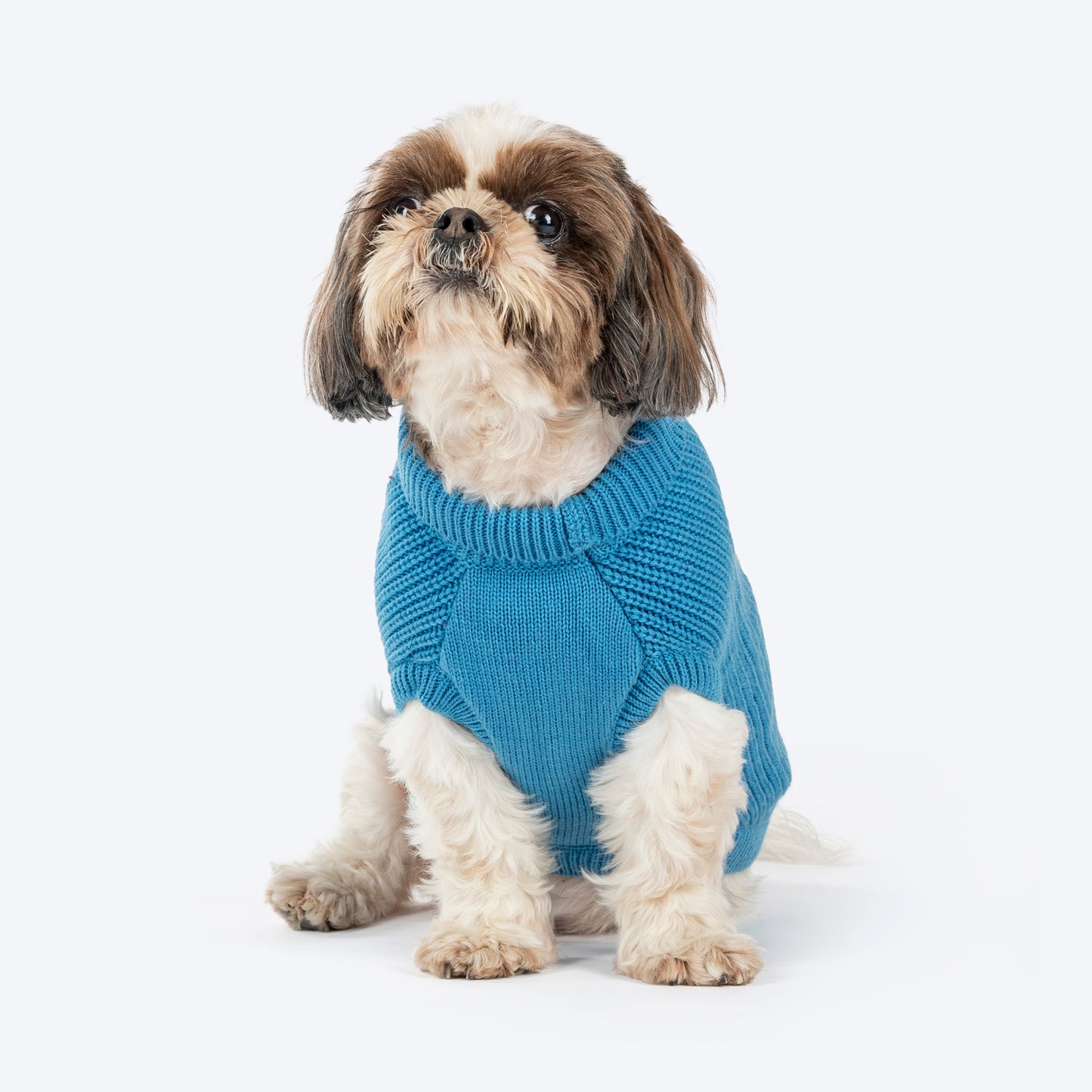HUFT Snuggle Bear Sweater For Small Dog - Light Blue - Heads Up For Tails