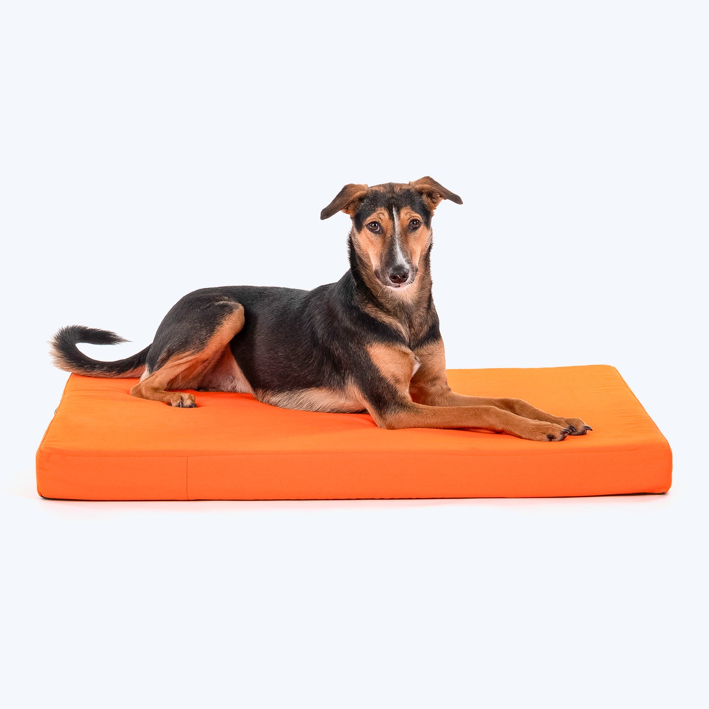 HUFT Royal Snooze Bed for Dog - Grey & Orange - Heads Up For Tails
