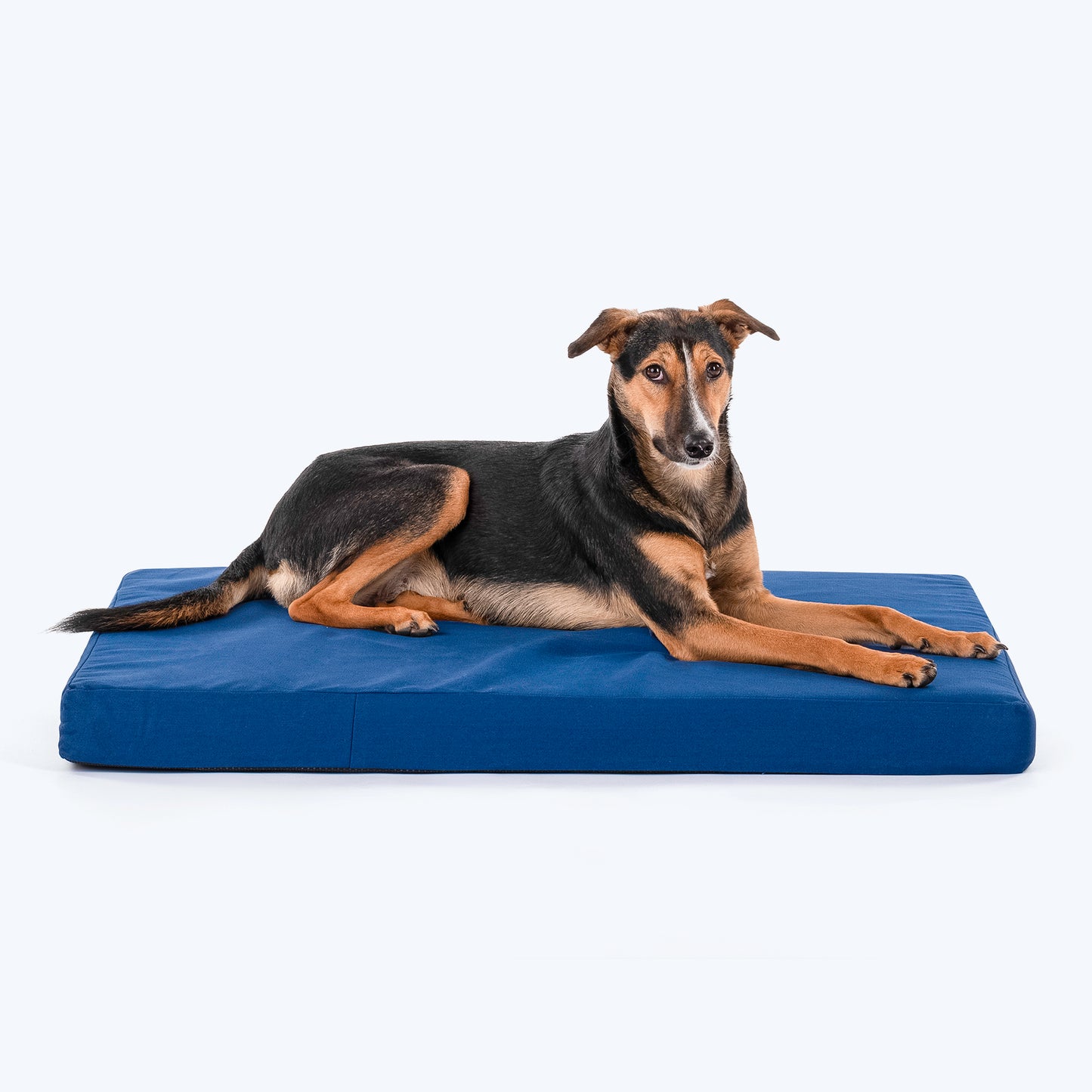 HUFT Royal Snooze Bed for Dog - Navy - Heads Up For Tails
