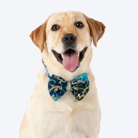 HUFT Noori Bow Tie For Dog - Blue - Heads Up For Tails