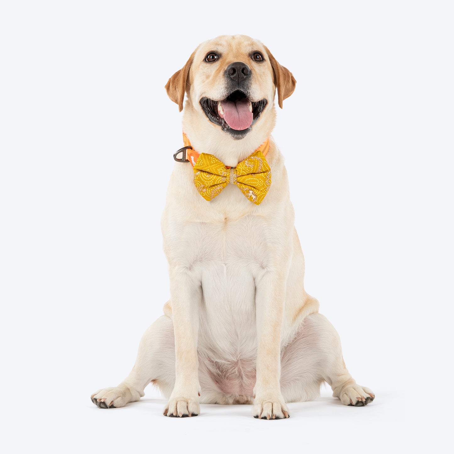HUFT Noori Bow Tie For Dog - Yellow - Heads Up For Tails