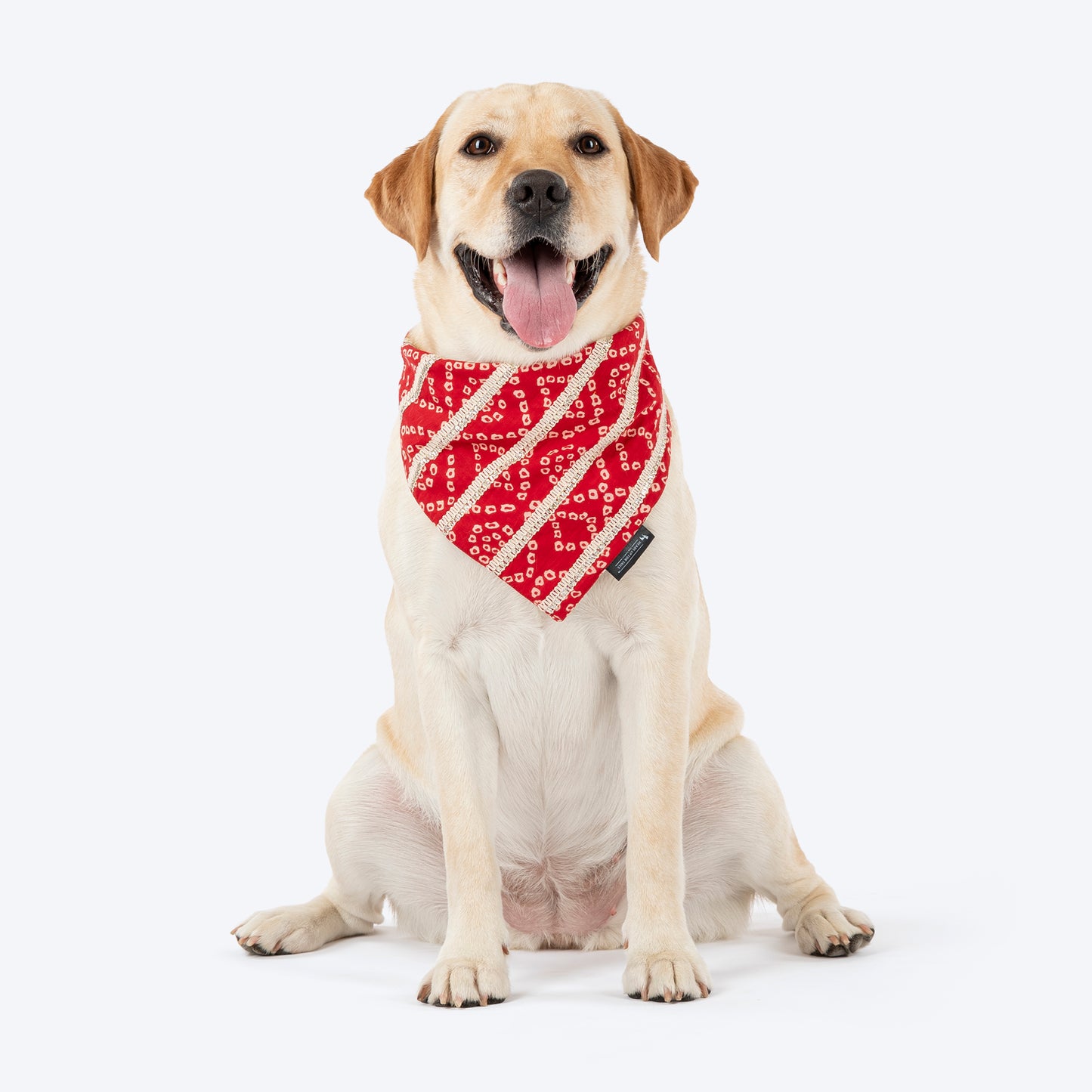 HUFT Bandhani Bandhan Knot Bandana For Dog - Red - Heads Up For Tails