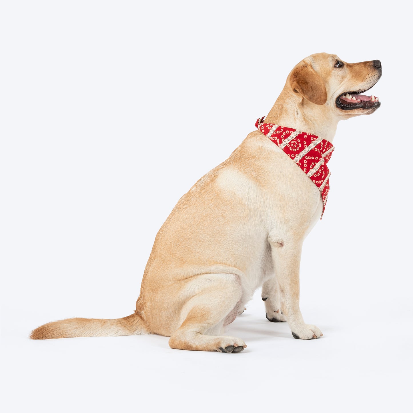 HUFT Bandhani Bandhan Knot Bandana For Dog - Red - Heads Up For Tails