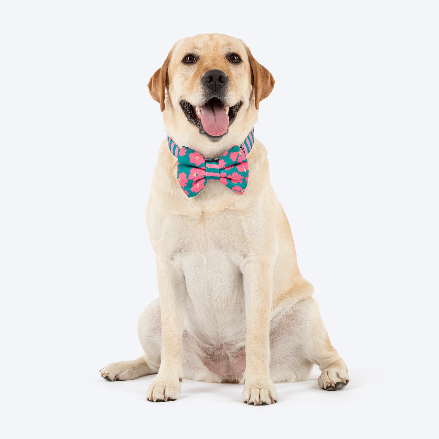 HUFT Pawsome Blossom Bow Tie With Collar For Dog - Green & Pink - Heads Up For Tails
