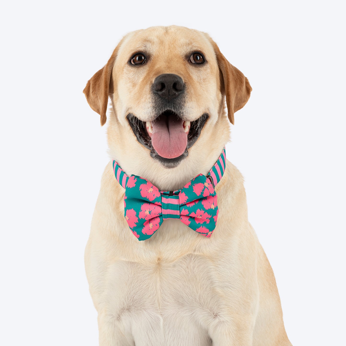 HUFT Pawsome Blossom Bow Tie With Collar For Dog - Green & Pink - Heads Up For Tails