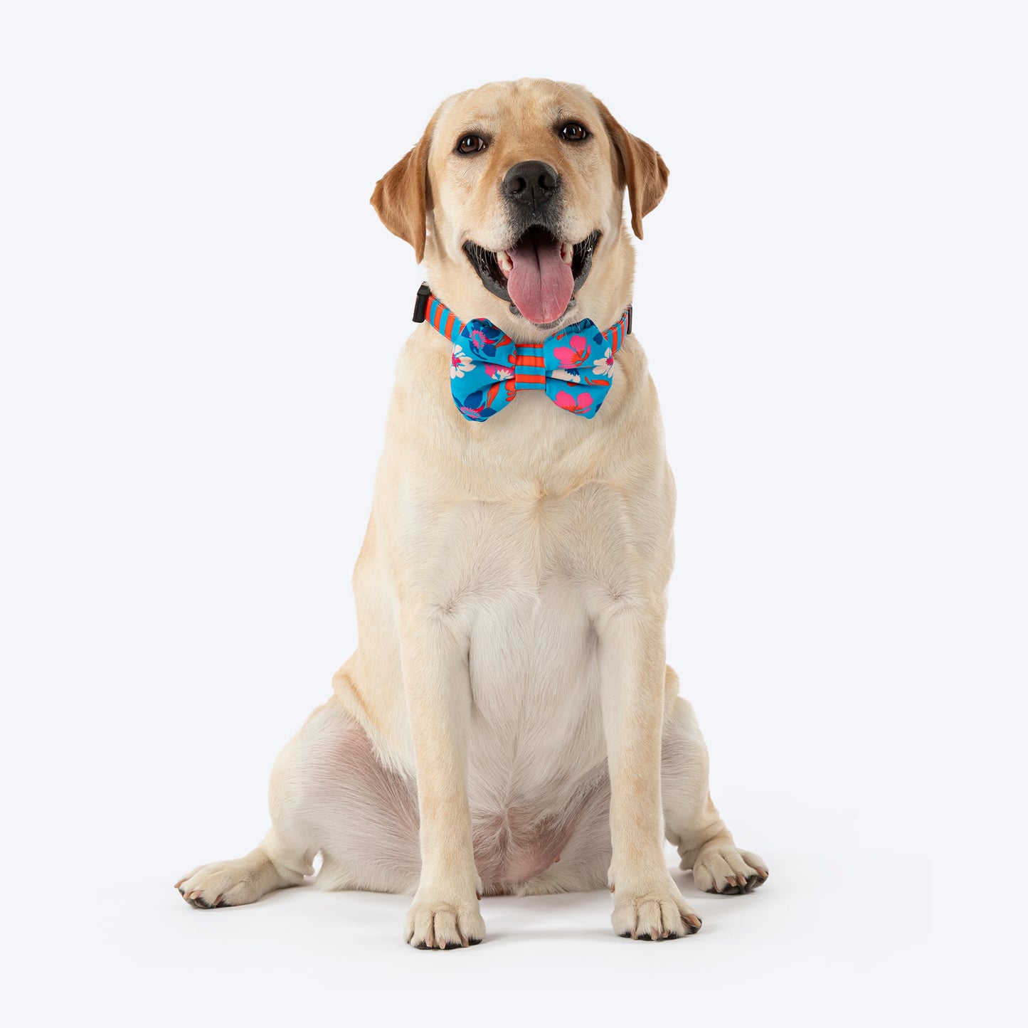 HUFT Summer Bloom Bow Tie With Collar For Dog - Blue - Heads Up For Tails