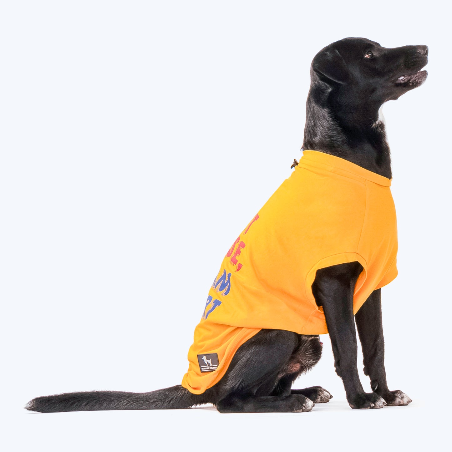HUFT Wet Nose, Warm Heart T-shirt For Dogs - Yellow - Heads Up For Tails