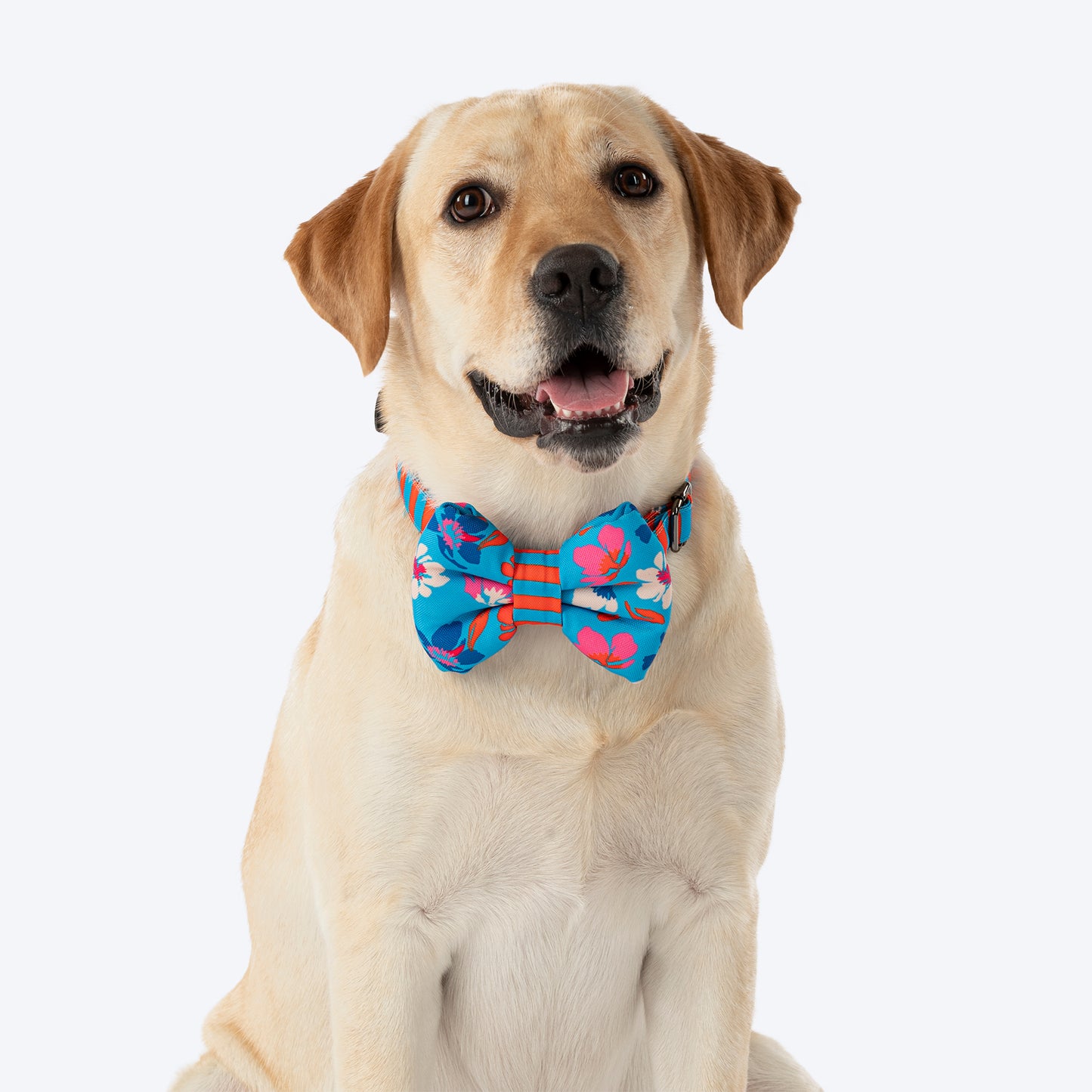 HUFT Summer Bloom Bow Tie With Collar For Dog - Blue - Heads Up For Tails