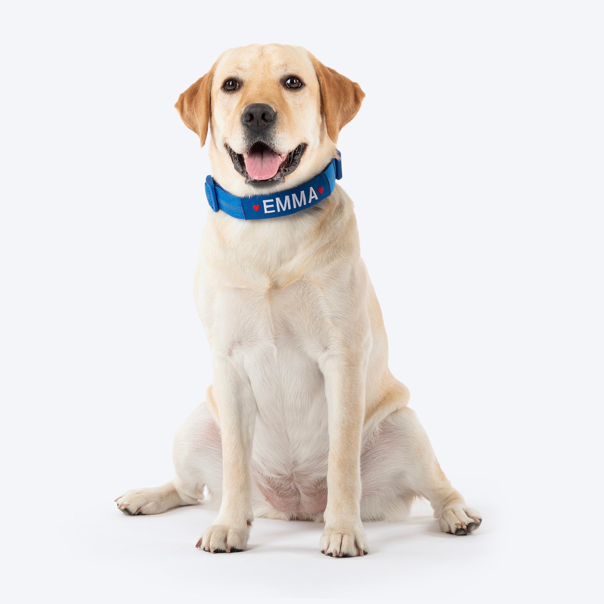 HUFT Xplorers Personalised Dog Collar - Blue - Heads Up For Tails