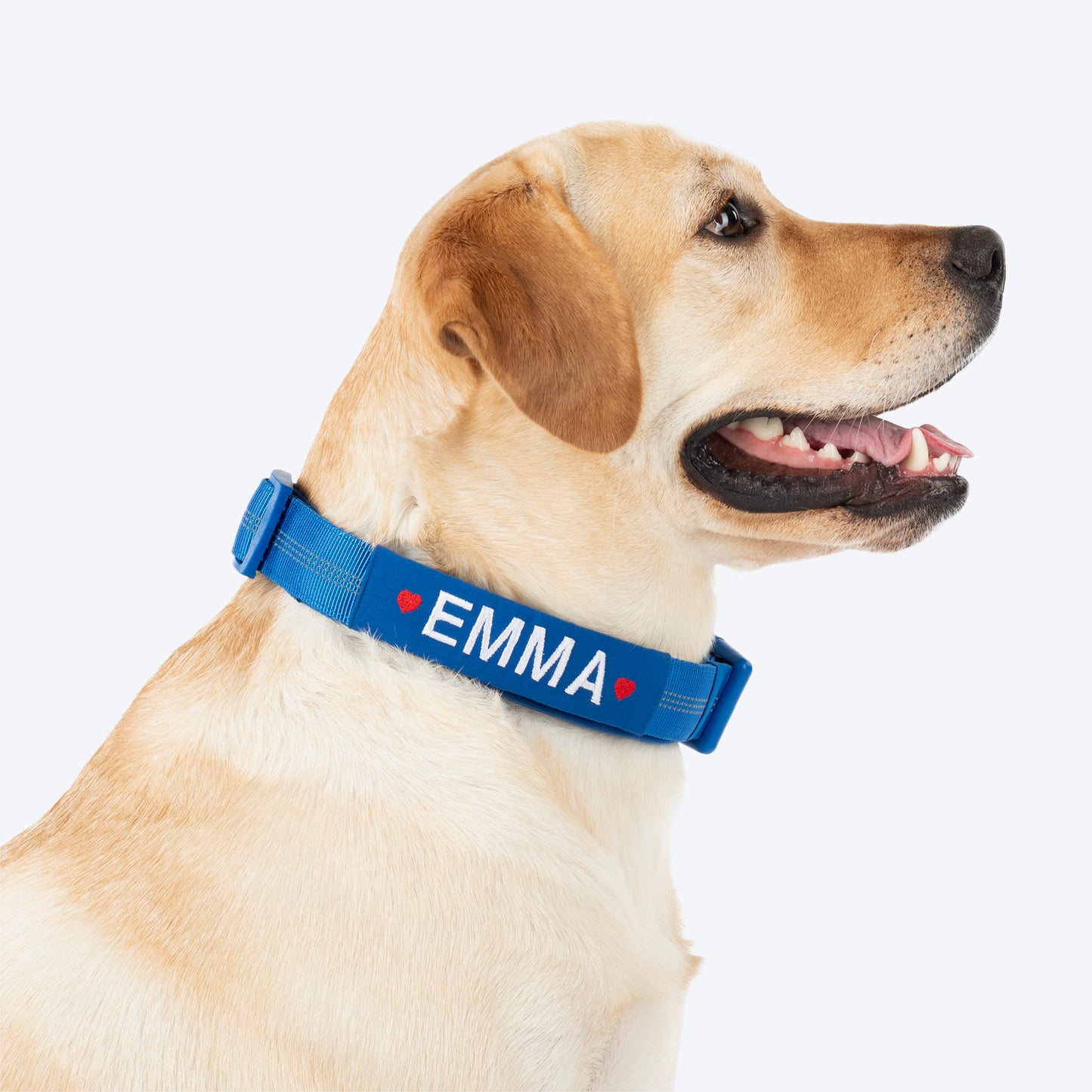 HUFT Xplorers Personalised Dog Collar - Blue - Heads Up For Tails