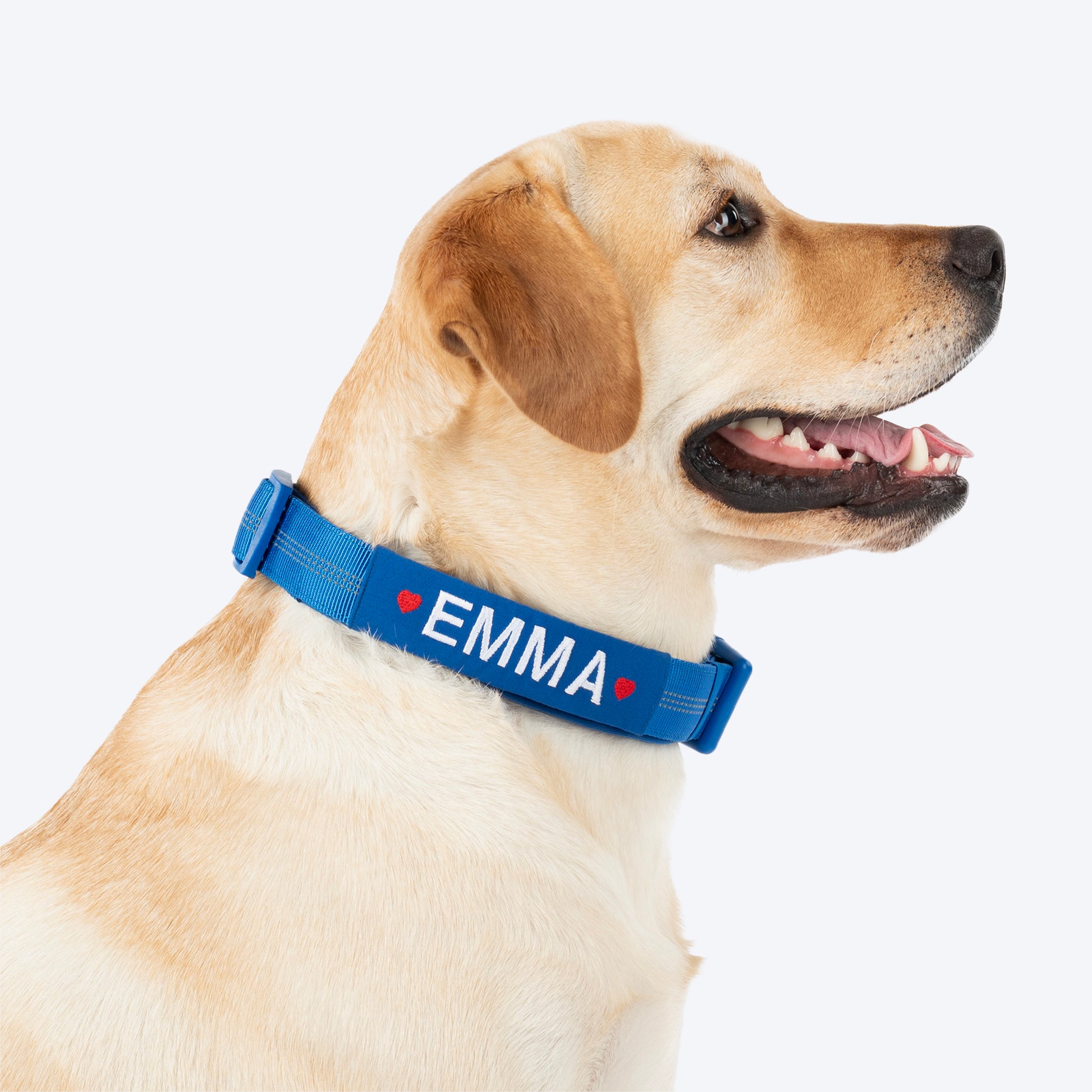 HUFT Xplorers Personalised Dog Collar - Blue - Heads Up For Tails