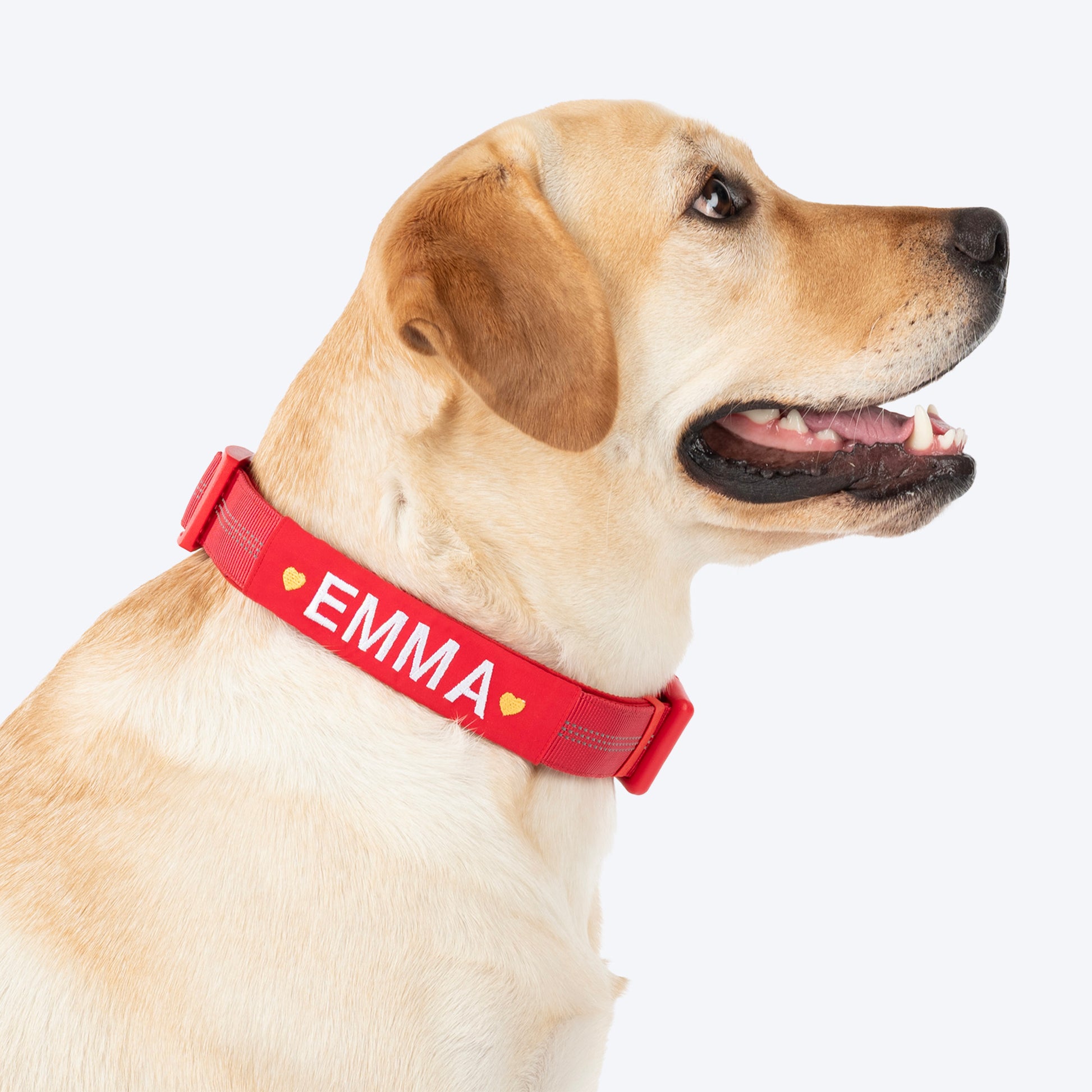 HUFT Xplorers Personalised Dog Collar - Red - Heads Up For Tails