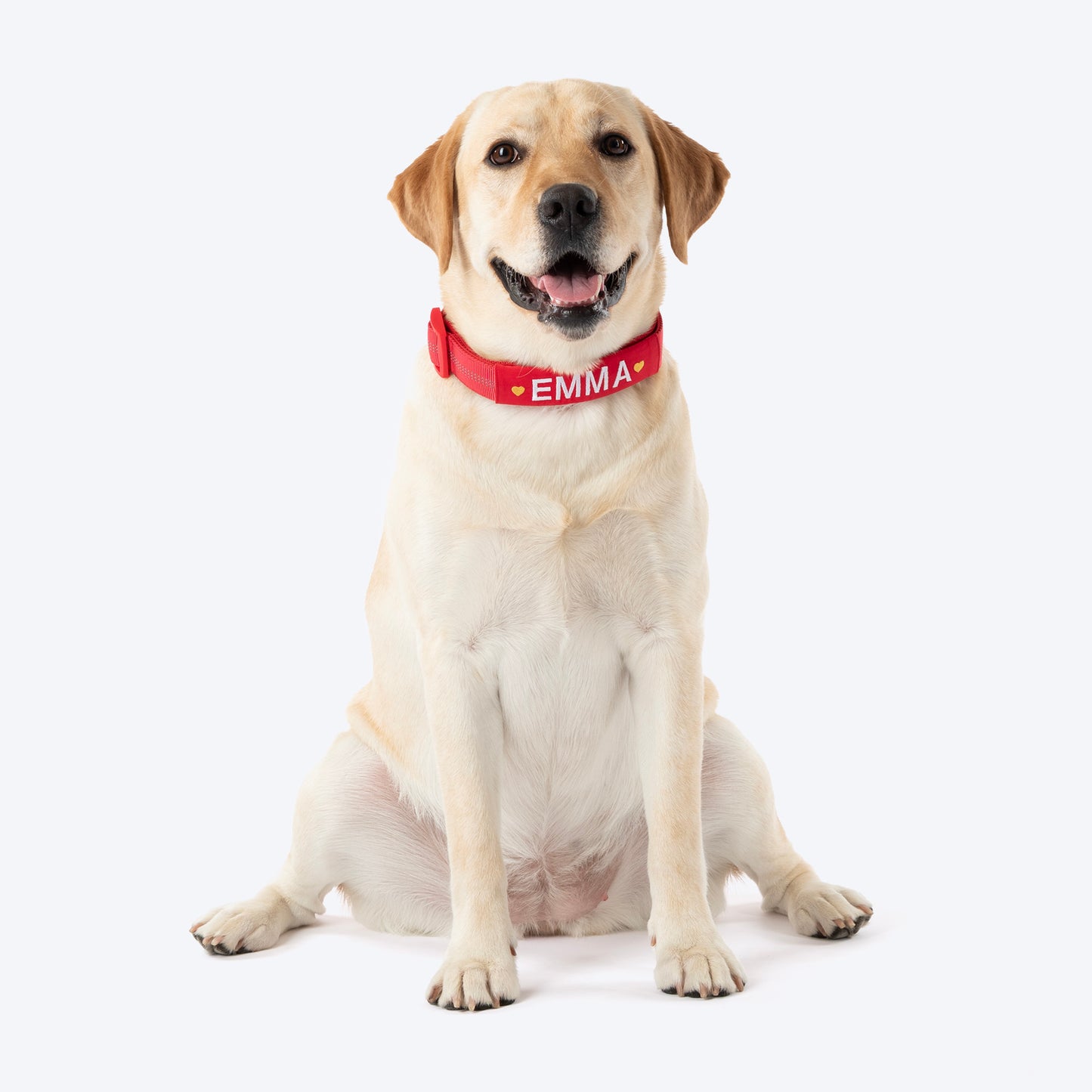 HUFT Xplorers Personalised Dog Collar - Red - Heads Up For Tails