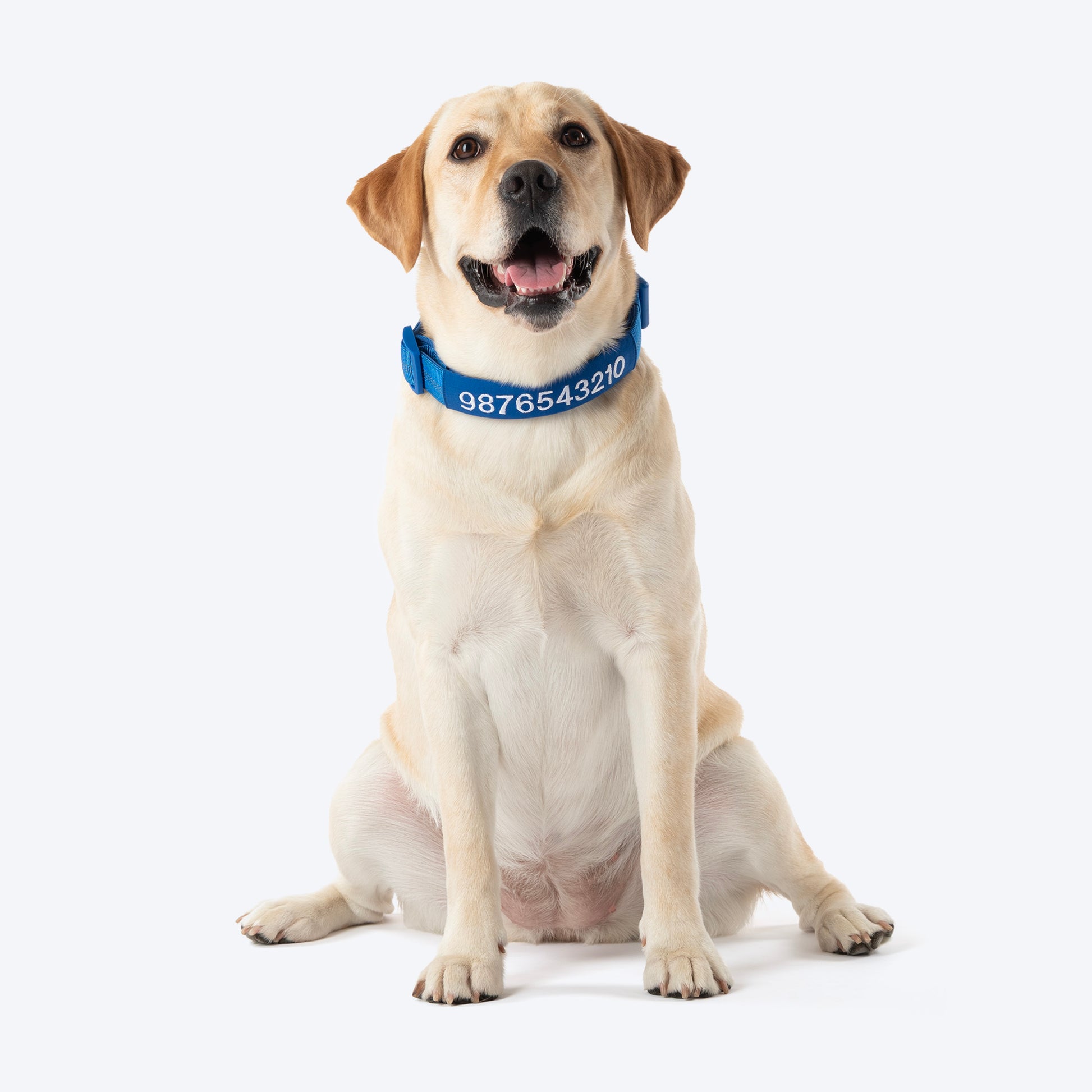 HUFT Personalised Xplorers (Mobile No.) Dog Collar - Blue - Heads Up For Tails