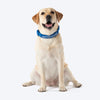 HUFT Personalised Xplorers (Mobile No.) Dog Collar - Blue - Heads Up For Tails