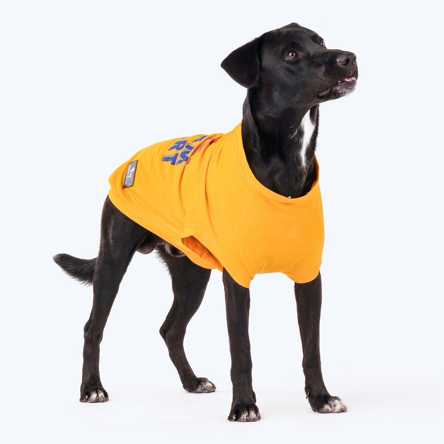 HUFT Wet Nose, Warm Heart T-shirt For Dogs - Yellow - Heads Up For Tails