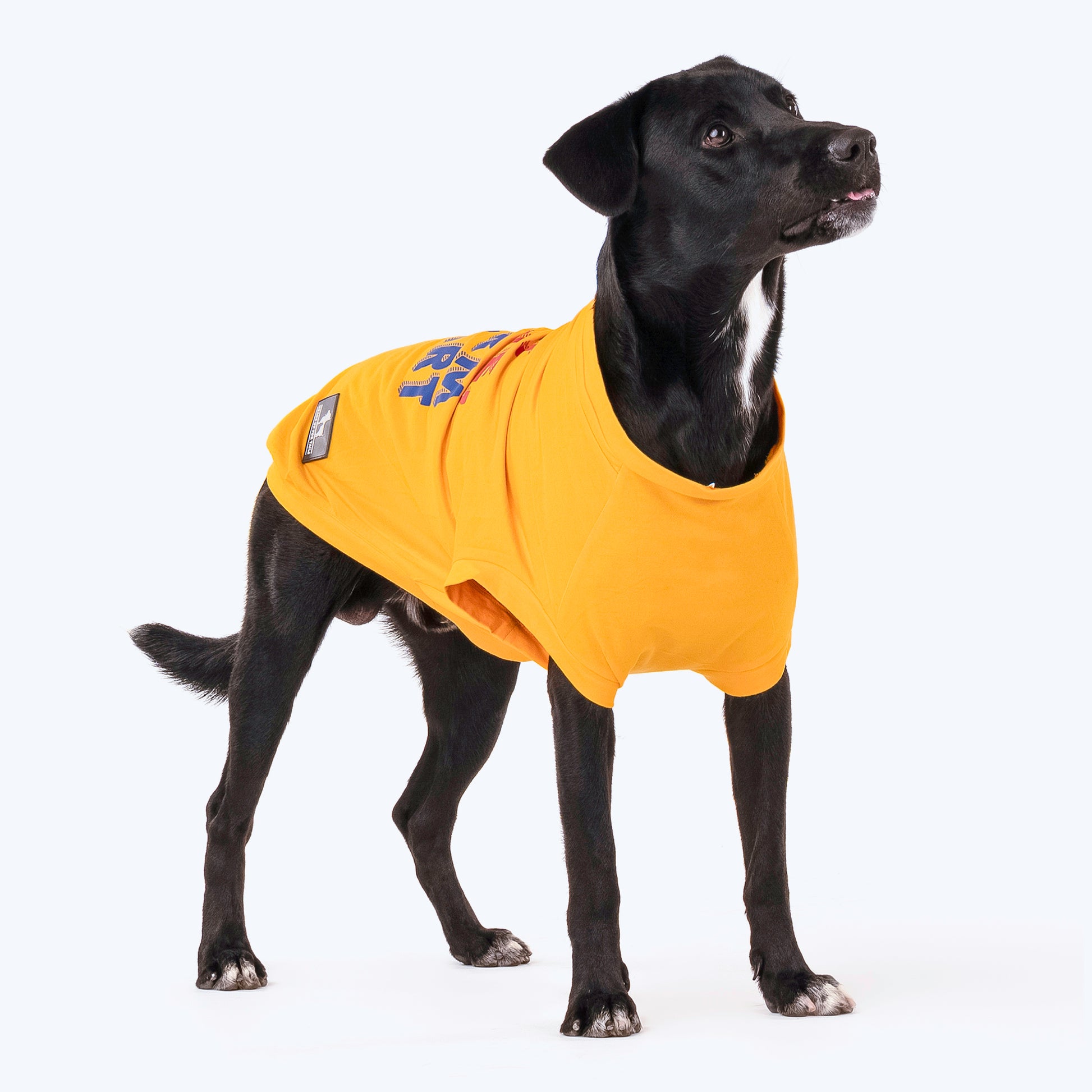 HUFT Wet Nose, Warm Heart T-shirt For Dogs - Yellow - Heads Up For Tails