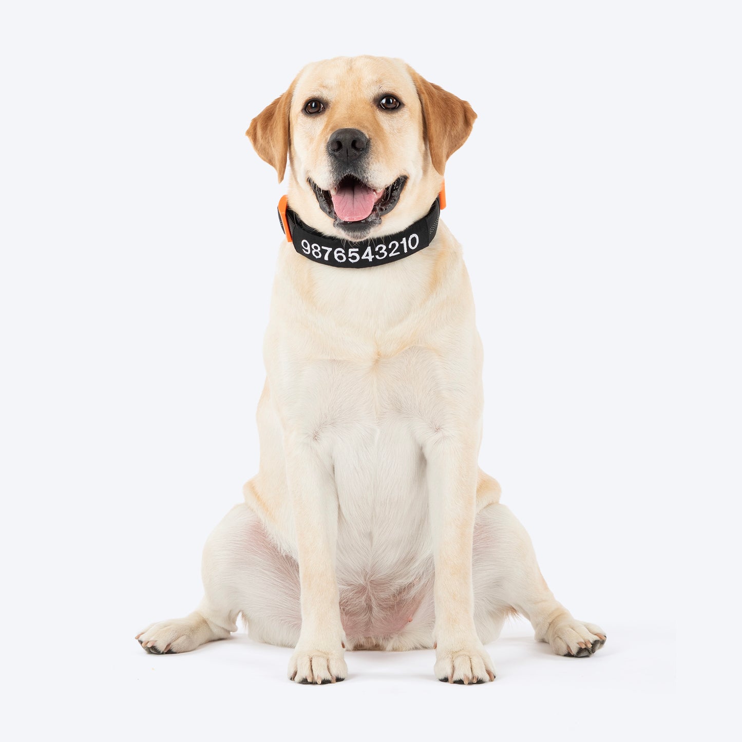HUFT Personalised Xplorers (Mobile No.) Dog Collar - Black - Heads Up For Tails