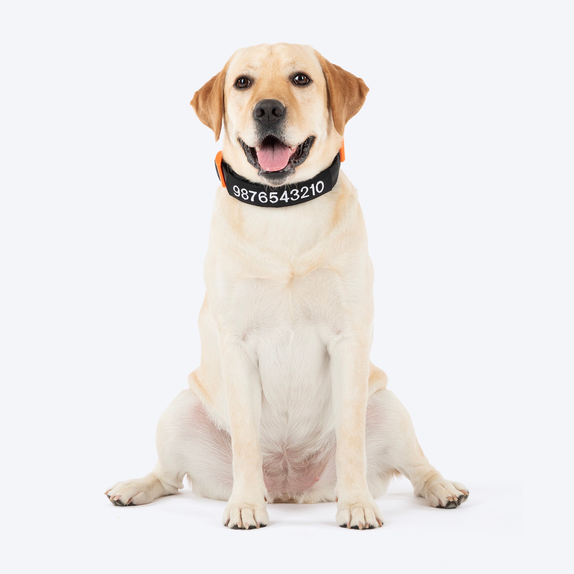 HUFT Personalised Xplorers (Mobile No.) Dog Collar - Black - Heads Up For Tails