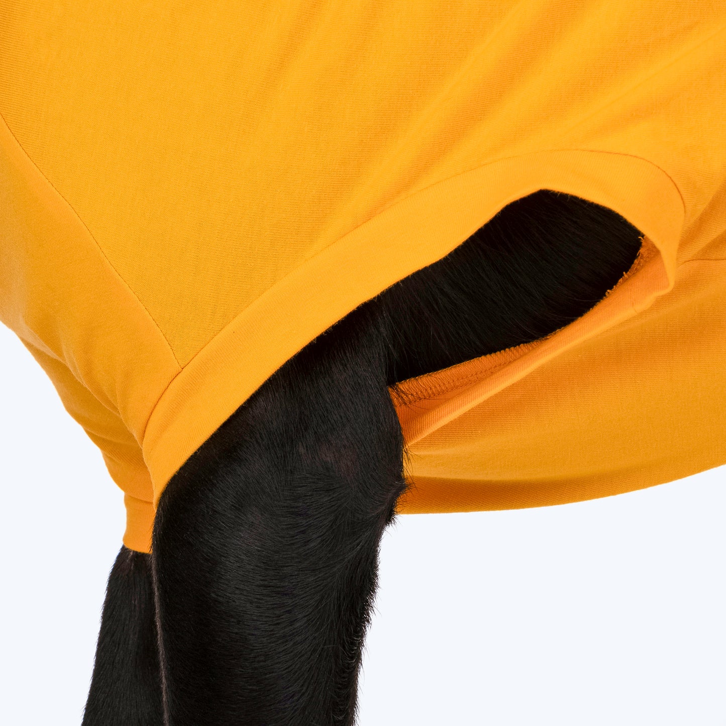 HUFT Wet Nose, Warm Heart T-shirt For Dogs - Yellow - Heads Up For Tails