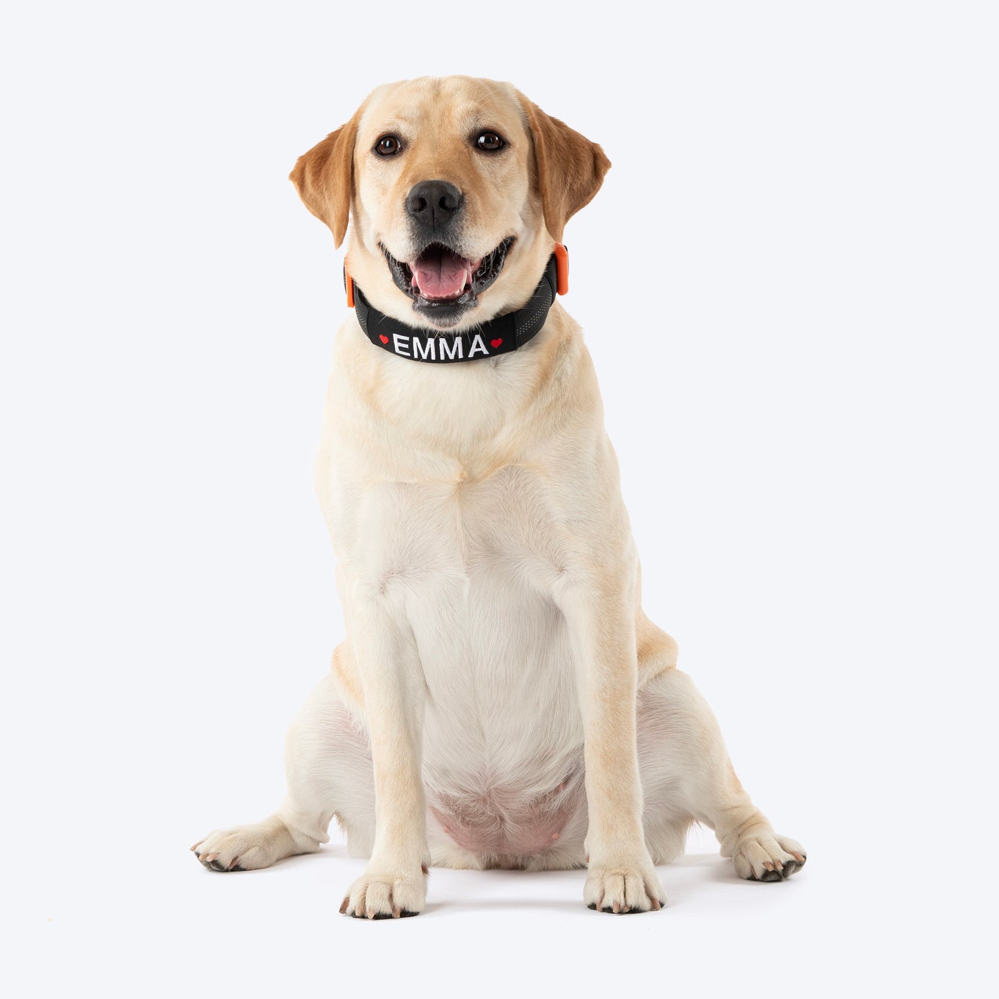 HUFT Xplorers Personalised Dog Collar - Black - Heads Up For Tails
